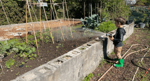 Kristina's son watering their garden (Making Changes: Taking A Step Back In Order To Move Forward Kristina Fiorentino Contributor Miami Mom Collective)