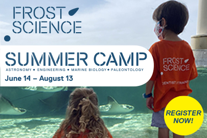 Frost Science Summer Camp (Lynda Lantz Contributor Miami Mom Collective)