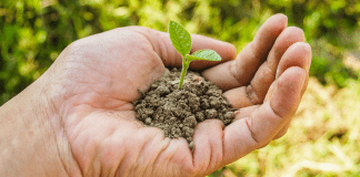 Earth Day: 5 Meaningful Ways to Celebrate! A handful of soil (Earth Day: 5 Meaningful Ways to Celebrate! Ana-Sofia DuLaney Contributor Miami Mom Collective)