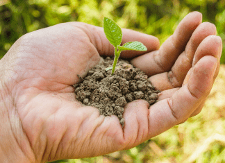 A handful of soil (Earth Day: 5 Meaningful Ways to Celebrate! Ana-Sofia DuLaney Contributor Miami Mom Collective)
