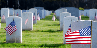 American flags in a cemetery (Memorial Day: Making It Memorable for the Whole Family Rachel Hulsund Contributor Miami Mom Collective)