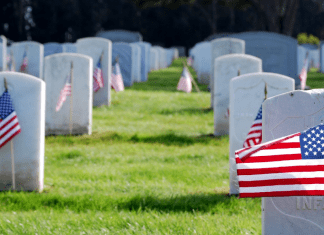 American flags in a cemetery (Memorial Day: Making It Memorable for the Whole Family Rachel Hulsund Contributor Miami Mom Collective)
