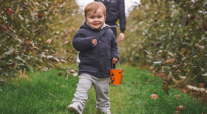Image: a little boy walks in front of his mother towards the camera in an apple orchard. He is smiling, carrying a bucket, and wearing a jacket, sweatpants, and Adidas sneakers. (Toddler Shoes: What to Look for Brittany Aquart Contributor Miami Mom Collective)