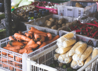 Fresh vegetables at a local farm stand (Love Where You Live: Why I Love Living in Homestead Kristina Fiorentino Contributor Miami Mom Collective)