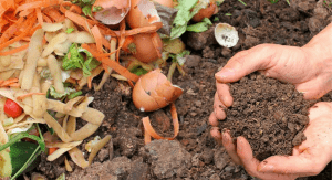 A compost pile (Composting: What You Need to Get Started Kristina Fiorentino Contributor Miami Mom Collective)