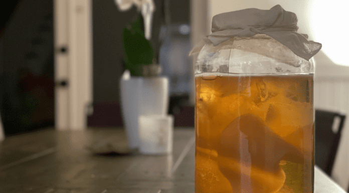 A glass of kombucha (Kombucha 101: What It Is and How to Make It Kristina Fiorentino Contributor Miami Mom Collective)