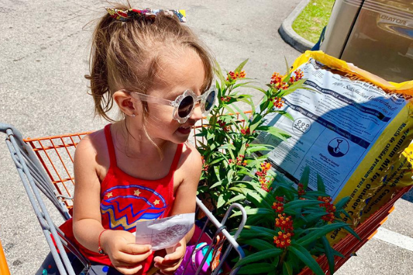 Shopping for butterfly plants (Butterfly Gardening in South Florida Jessica Alvarez-Ducos Contributor Miami Mom Collective)