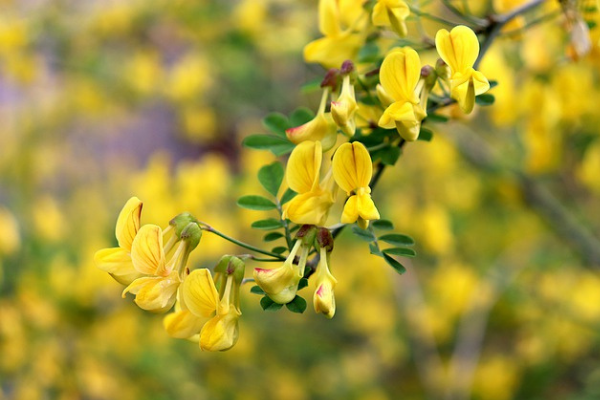 (Jessica Alvarez-Ducos Contributor Miami Mom Collective)