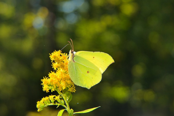 (Jessica Alvarez-Ducos Contributor Miami Mom Collective)