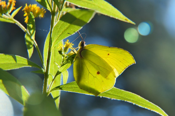 (Jessica Alvarez-Ducos Contributor Miami Mom Collective)