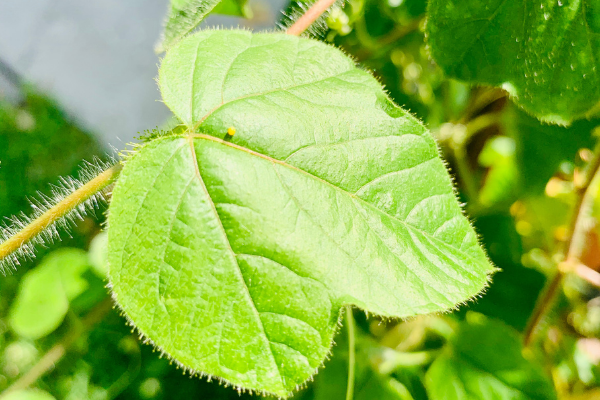 (Jessica Alvarez-Ducos Contributor Miami Mom Collective)