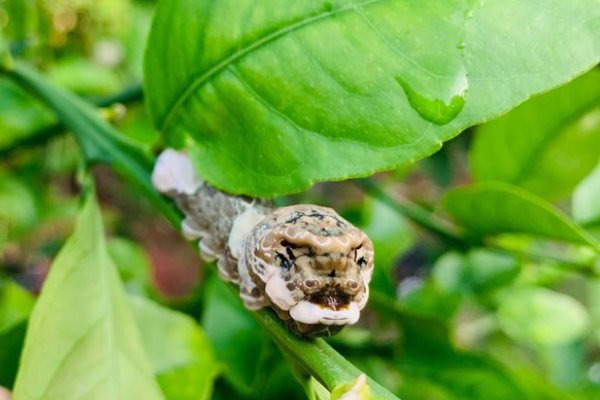 (Jessica Alvarez-Ducos Contributor Miami Mom Collective)