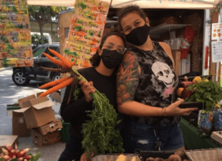 South Miami farmers market (Love Where You Live: Why I Love Living in South Miami Kristen Llorca Contributor Miami Mom Collective)