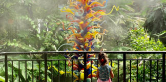 Miami Summer Bucket List: A Summer to Remember + Printable Image: A young child enjoys the butterfly garden at Fairchild Tropical Botanic Garden