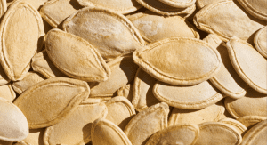 Pumpkin seeds (Fall's Most Fabulous Superfoods Your Plate Needs Monica Moreno Contributor Miami Mom Collective)