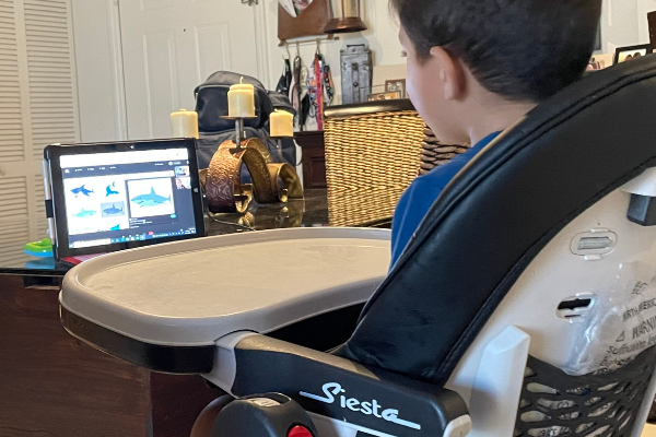 GoPeer- virtuall tutoring platforms