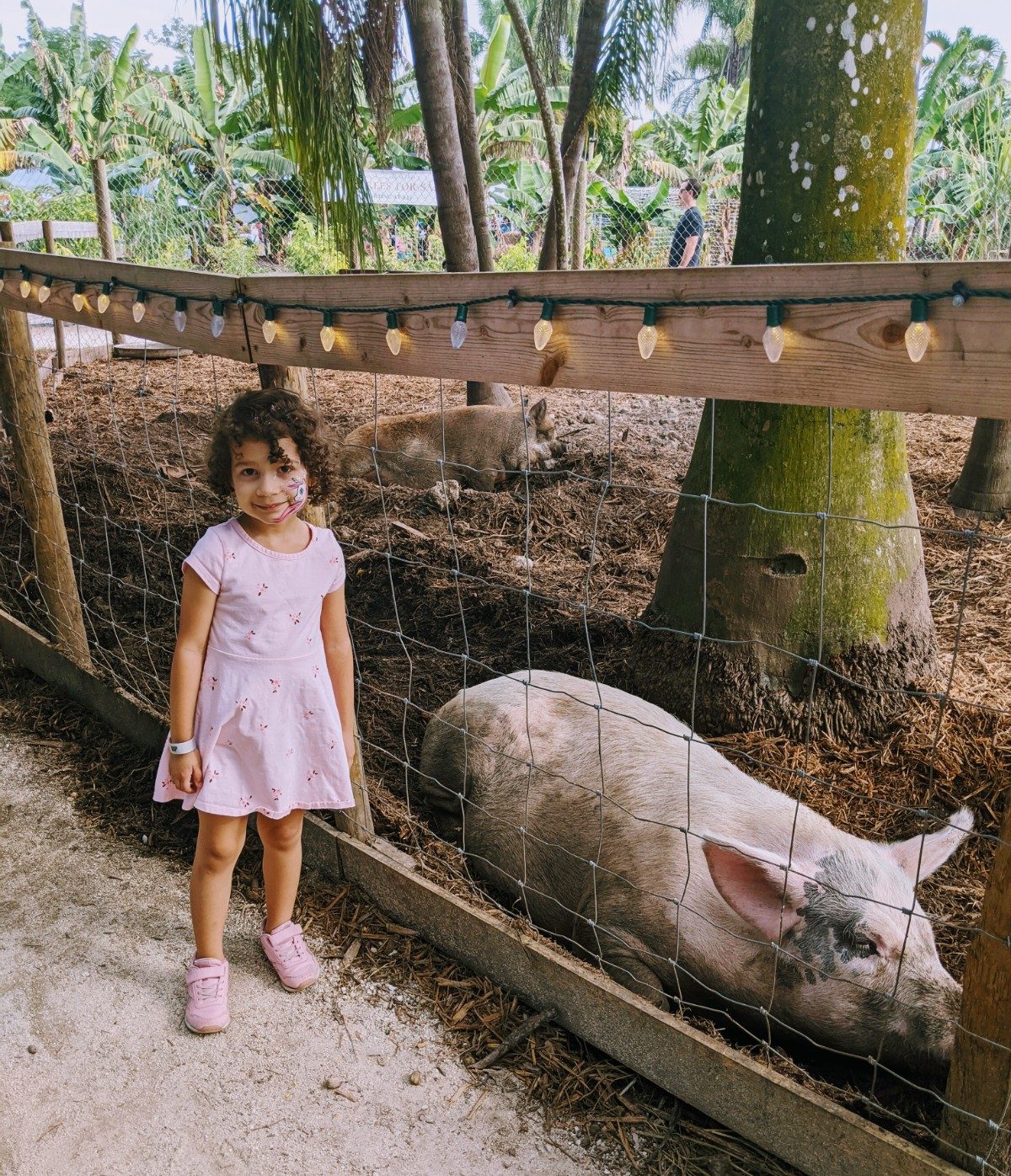 Image: A little girl standing next to the pig pen at a local farm (Winter Break Bucket List: Have Fun & Make Lasting Memories | Dr. Bob Lynda Lantz Editor Miami Mom Collective)