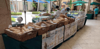 Merrick Park hosts one of Miami's best local farmers' markets
