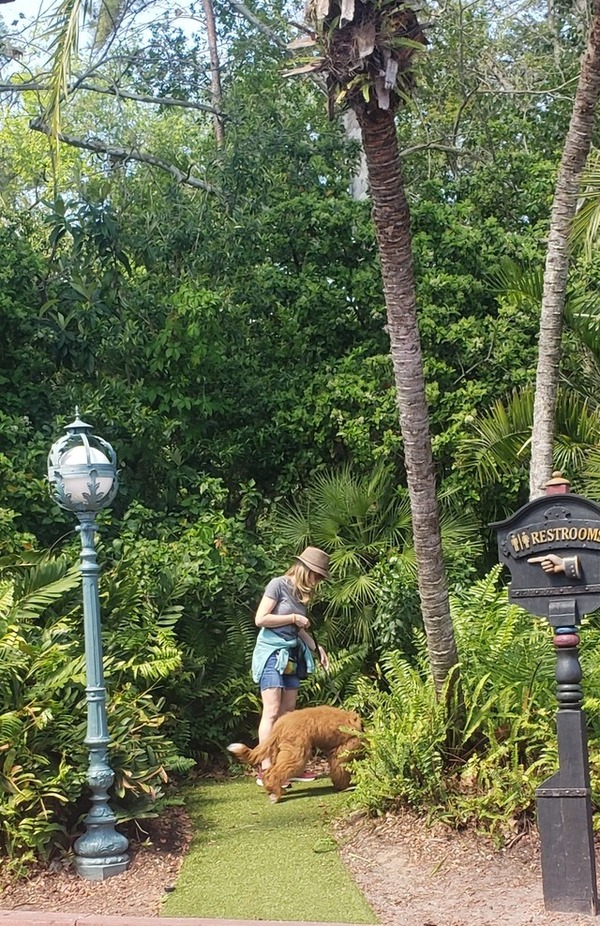 One of several relief areas designated for support animals
