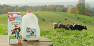 Organic Valley: Happy Cows, Better Milk, Healthy Kids A carton and gallon jug of Organic Valley milk, with a pasture of cows in the background