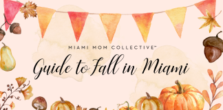 Fall Events & Activities Guide: Things To Do in Miami This Fall