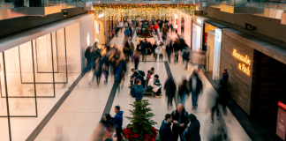 Black Friday Shopping: 4 Tips for Making it a Smooth Experience A crowded mall during the holidays