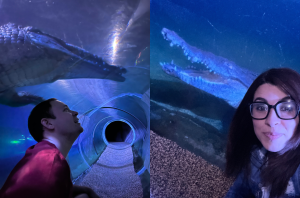 Images: Ana-Sofia and her husband hanging with the crocodiles at Zoo Miami