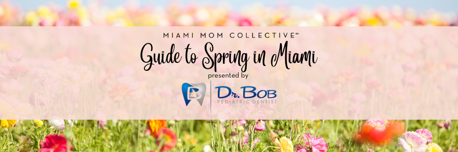Spring in Miami: A Mom's Guide to Spring Break & Seasonal Fun, 900x300 Image: Miami Mom Collective Guide to Spring in Miami, presented by Dr. Bob Pediatric Dentist
