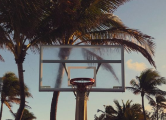 Image: An outdoor basketball hoop with palms trees in the background