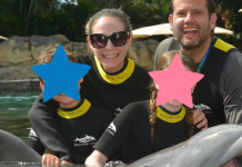 Image: Ilana's family enjoys a swim with a dolphin at Discovery Cove Orlando