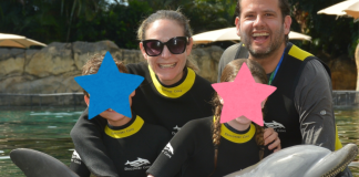 Discovery Cove: A Day of Discovery in Orlando Image: Ilana's family enjoys a swim with a dolphin at Discovery Cove Orlando