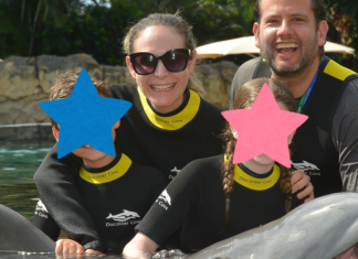 Image: Ilana's family enjoys a swim with a dolphin at Discovery Cove Orlando