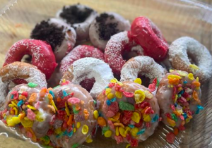 Ion Wanna Talk Mini Donuts
