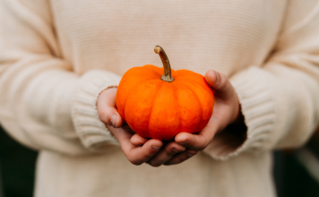 Image: A child holding a small pumpkin