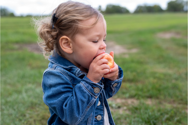Image: A little girl eating an apple in a field