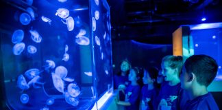 Frost Science Winter Camp 2025