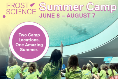 Frost Science 2026 Summer Camps Guide Graphic Image: Frost Science 2026 Summer Camp Infographic