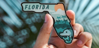 Image: A hand holds a magnet shaped like the state of Florida
